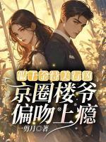男主叫傅黎辰的