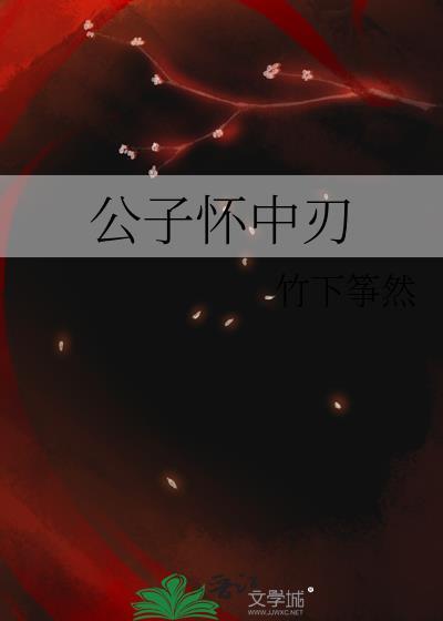 公子怀中刃讲什么