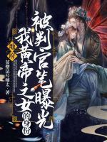 沈宛君的作品