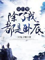 沧月主角名字