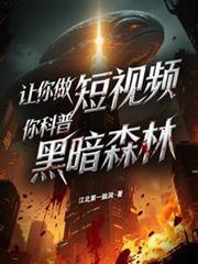 黑暗森林事件
