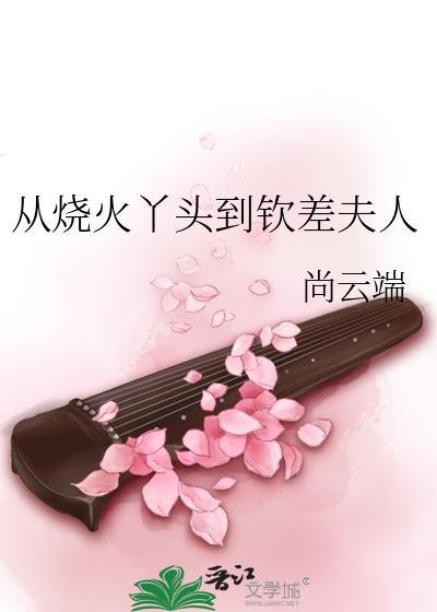 从烧火丫头到钦差夫人免费