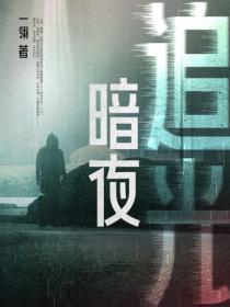 暗夜追光毒网缉凶录在线观看
