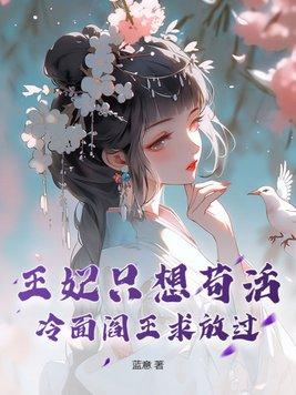 冷面王爷悄王妃