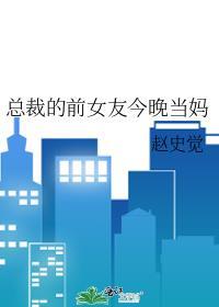 总裁的前女友今晚当妈14