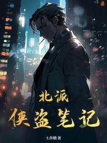 北派侠盗笔记全文阅读免费