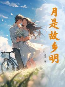 月是故乡明课文主要内容
