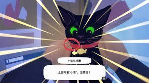 我的猫是