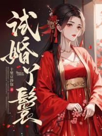 试婚丫鬟是陪嫁丫鬟