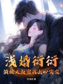 浅婚衍衍2