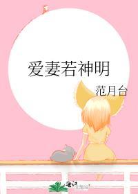爱妻若神明免费全文阅读
