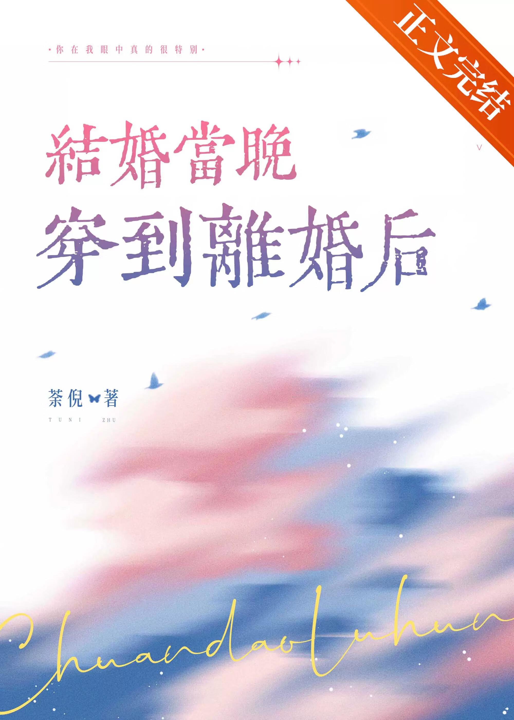 结婚当晚穿到离婚后番外百度