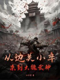 从边关小卒杀到大夏至尊