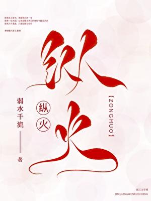 纵火燃情