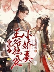 王爷独宠小妾的文