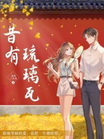 昔有琉璃瓦电视剧演员有谁