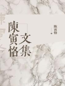 陈寅恪文集 上海古籍出版社
