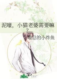 小猫老婆需要嘛?