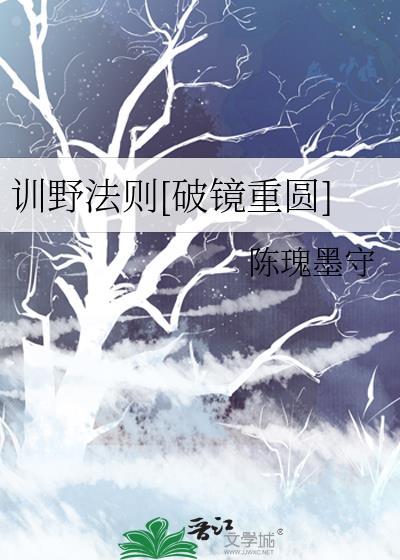 训野法则破镜重圆