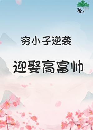 穷小子逆袭迎娶高富帅的电视剧