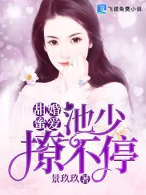 池少追辑小甜妻全文免费阅读
