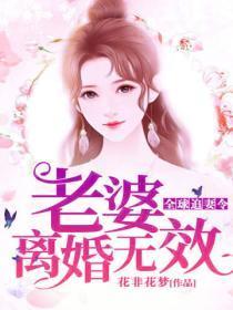 全球追妻令老婆离婚无效百度