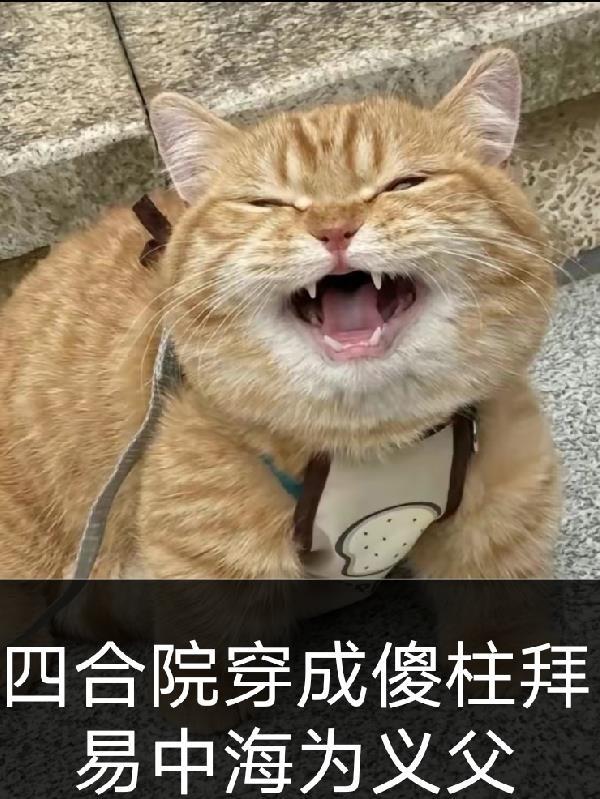 四合院穿越成傻柱的儿子