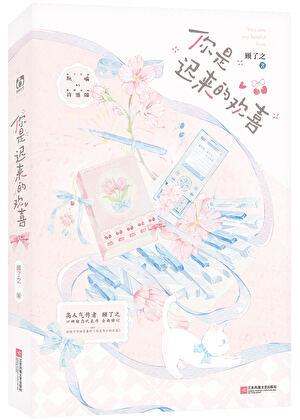 你是迟来的欢喜百度TXT