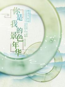 你是我的景色年华完整版