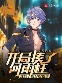 开局四合院傻柱