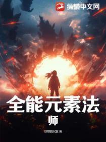 全职元素法师技能