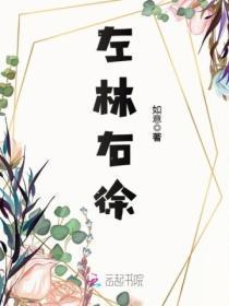 左林右里韩国