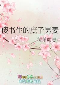 傻书生的庶子男妻免费