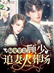 偏宠小萌妻宁夏全文免费阅读