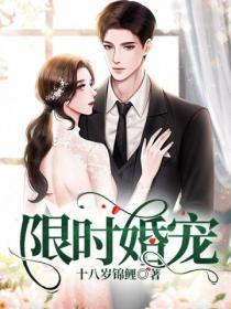 限时婚宠总裁追妻路漫漫
