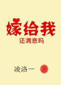 嫁给我还满意吗原著叫什么