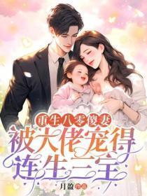 重生八零傻女撩人