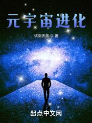 九狼图纯银耳坠作品
