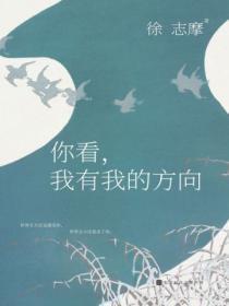 你有你的我有我的方向是什么歌