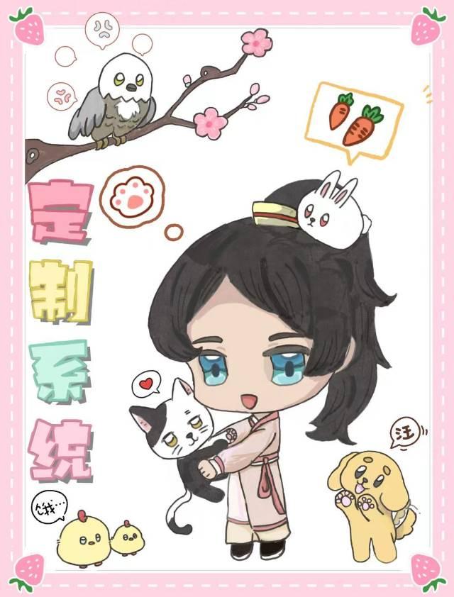 定制系统英文