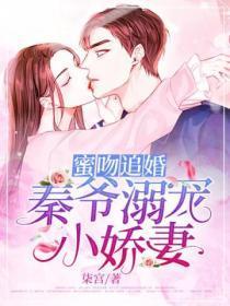 秦爷追妻全文免费