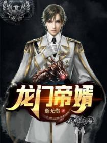 龙门豪婿免费阅读叶辰