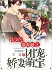 韩少的宠妻日常免费