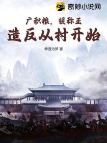 广积粮缓称王高筑墙什么意思