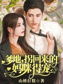 萌宝归来拐个爹地送妈咪