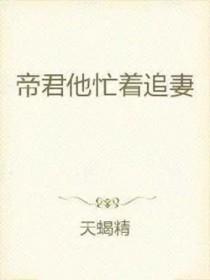 帝君要追妻