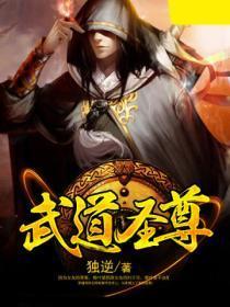 武道至尊免费阅读