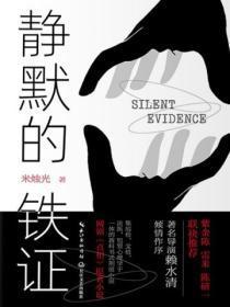 静默的铁证TXT