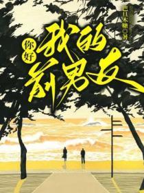 你好前任先生