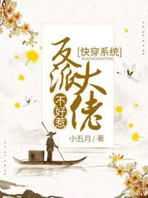 快穿系统反派大佬不好惹动态漫在线观看全集